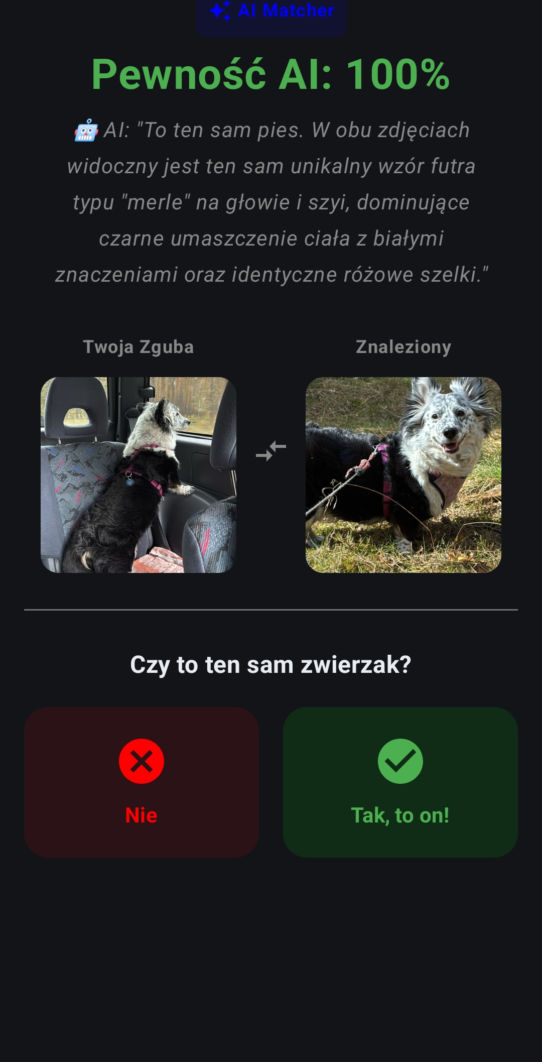 Ekran weryfikacji AI w PetSOS